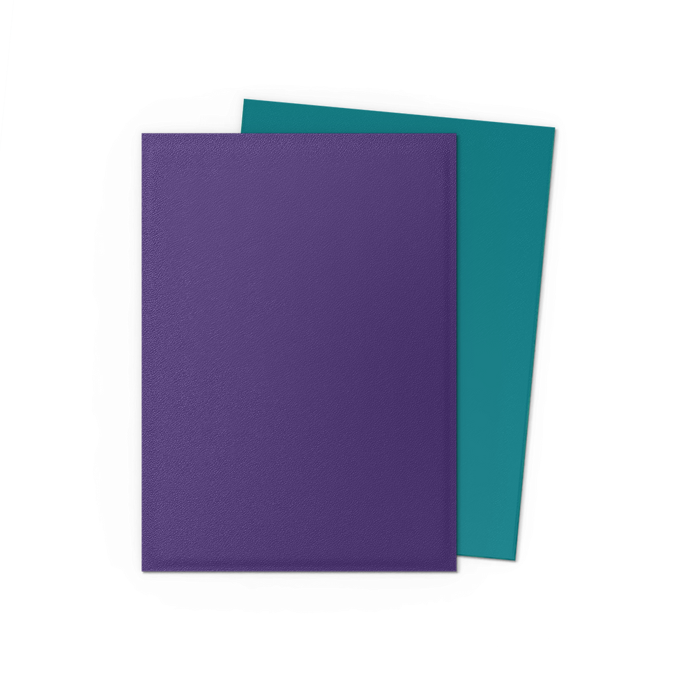 Dragon Shield: Standard 100ct Sleeves - Soul and Petrol (Dual Matte)