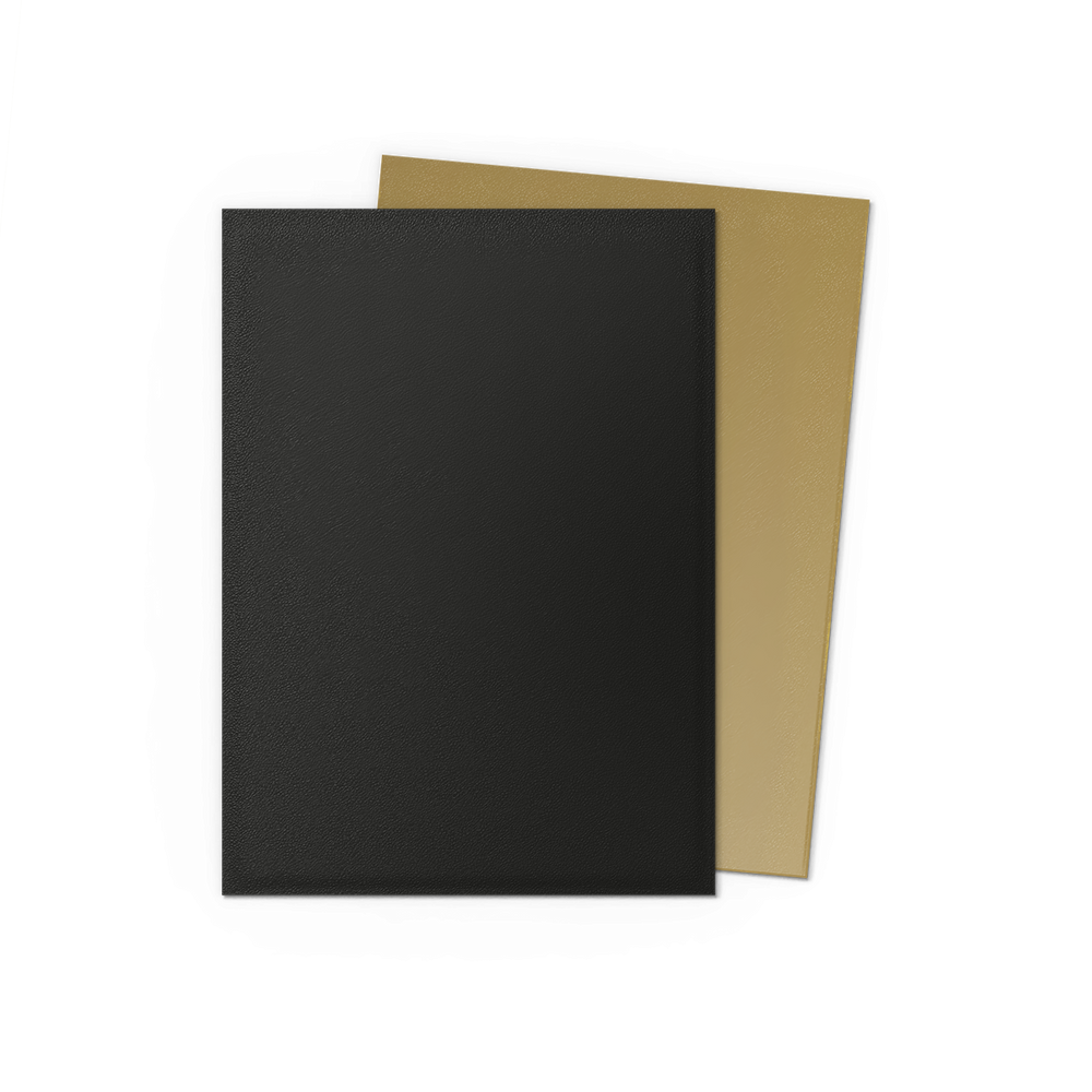 Dragon Shield: Standard 100ct Sleeves - Black and Gold (Dual Matte)