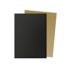 Dragon Shield: Standard 100ct Sleeves - Black and Gold (Dual Matte)