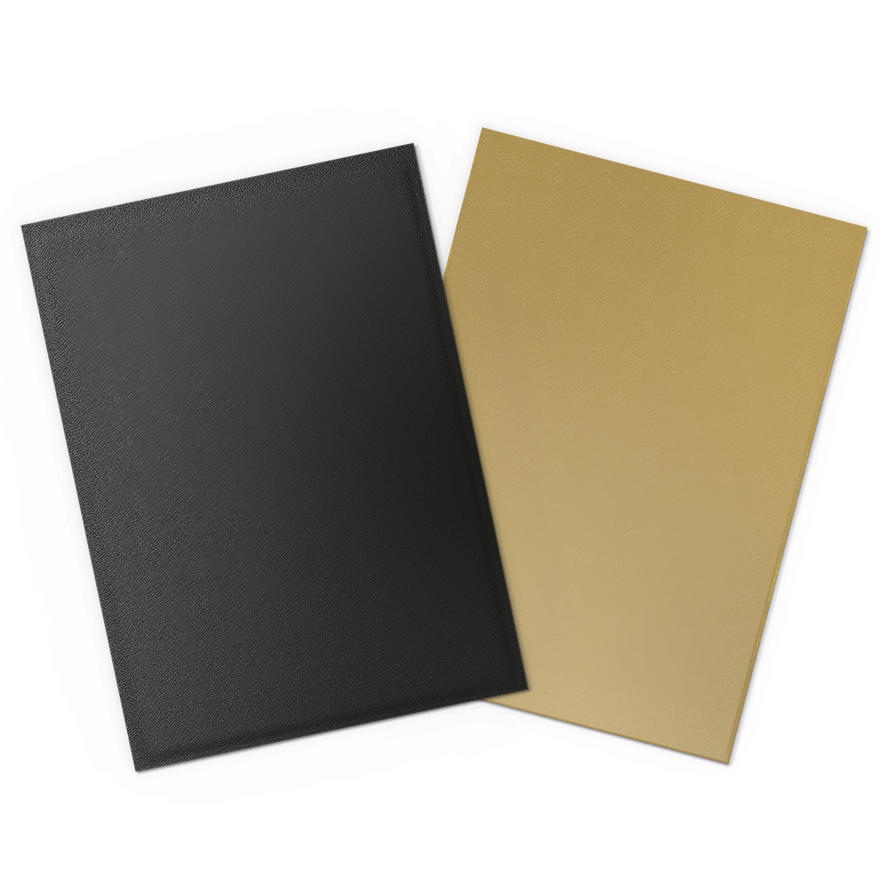Dragon Shield: Standard 100ct Sleeves - Black and Gold (Dual Matte)