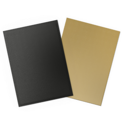 Dragon Shield: Standard 100ct Sleeves - Black and Gold (Dual Matte)
