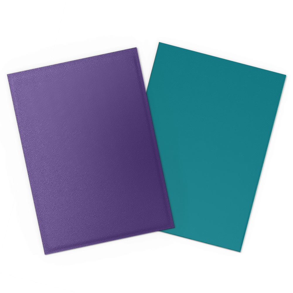 Dragon Shield: Standard 100ct Sleeves - Soul and Petrol (Dual Matte)